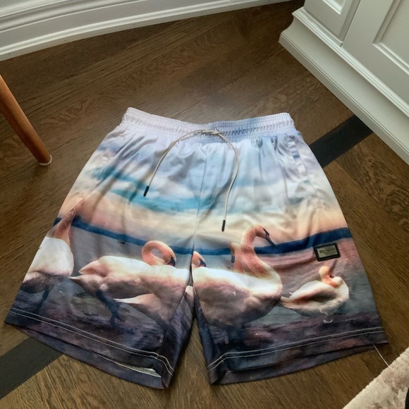 WELL KNOWN STUDIOS The Swan Family Shorts 7”  Men’s Size Large Street Wear NEW - Picture 2 of 13